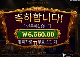 카토 카카즈 퓨리 33스핀