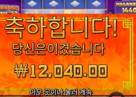 플로팅 드래곤 4콩 배팅