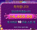 스위트 보난자 1000 다이스