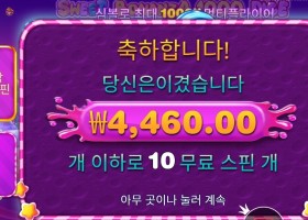 스위트 보난자 1000 다이스