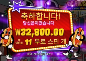 빅 버거 32천원