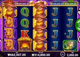 H I T M O R E G O L D