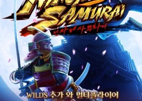 닌 자 V S 사 무 라 이