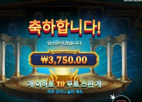 프라그마틱 메두사즈 스톤 15천원 배팅