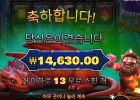 드워프 앤드 드래곤１３스핀