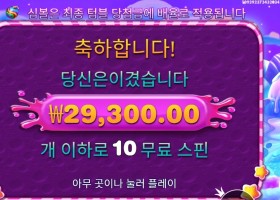 스위트 보난자 147배