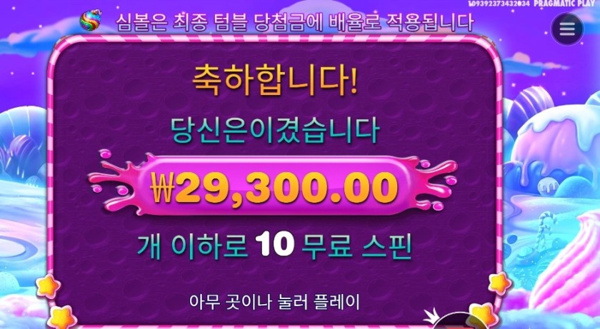 스위트 보난자 147배