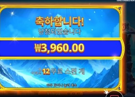 히말라얀 와일드 후기