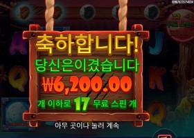 프리스핀스 17스핀