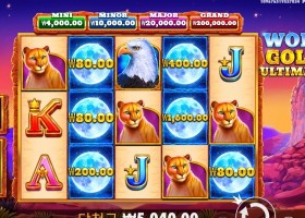 울프 골드 올티메이트 5천원