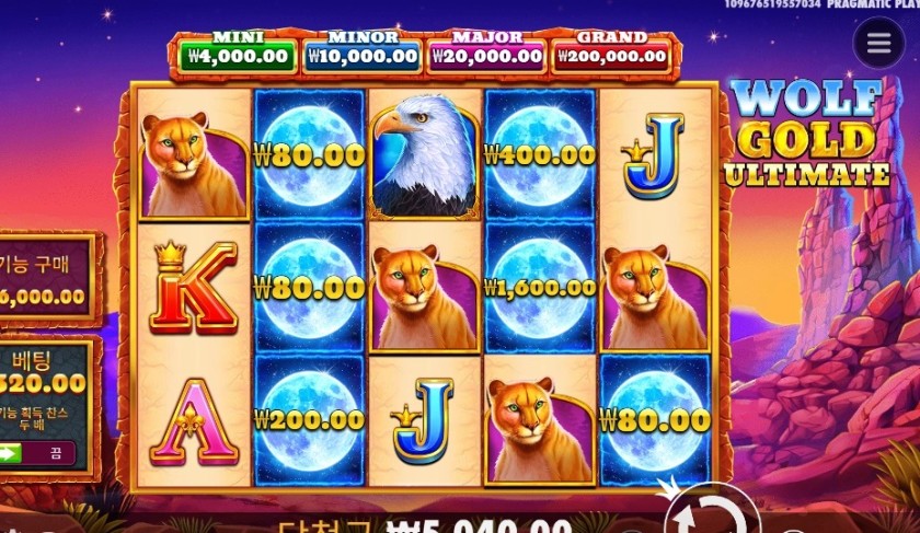 울프 골드 올티메이트 5천원