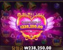 5트 터졌다