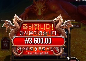 슬리핑 드래곤 ９스핀