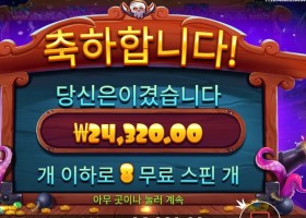 스카이 바운티 24천원