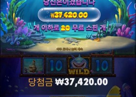 비웨어 딥 메가웨이