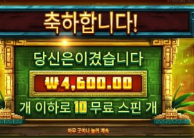 프라그마틱 시크릿 시티 골드