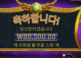 올림푸스 슈퍼 스캐터 8콩