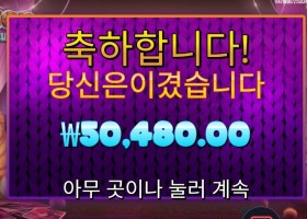 폰조 필라인 포춘스 252배