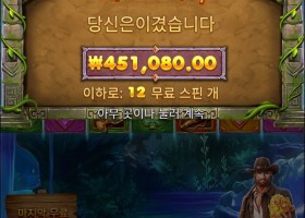 12만발 구매