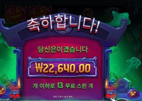 인펙티드 와일드 113배