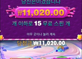 스위트 보난자3