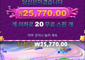 스위트 보난자4