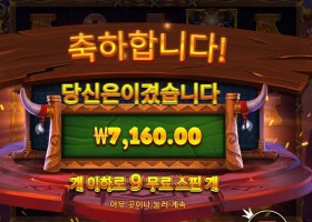 와일드 바이슨 차지 7천원