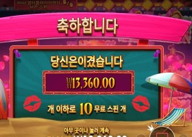 핀업 걸스 10바퀴