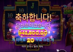 와일드 와일드 조커 219배