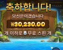 레이징 워터풀 메가웨이즈 ３０천원