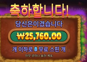 몰레이오네어 １２９배