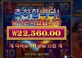 엔젤 & 시너 22천원