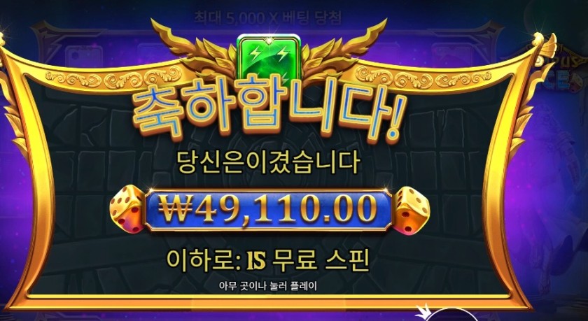 올림푸스 다이스 245배