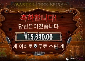 프라그마틱 플레이 더 와일드 갱 후기