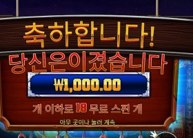 머스탱 트레일 천원