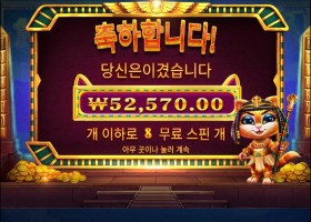 오 캣트라 뭐야?