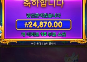 공주천 연속구매