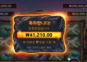 볼케이노 가데스 206배