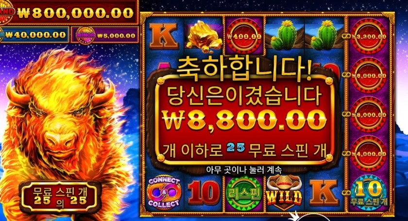 파이어 스탬피드 ２５스핀