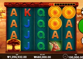 아프리칸 스피릿 스티키 와일드 !!!