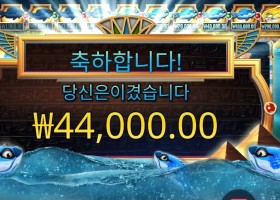 피시 아이 44천원