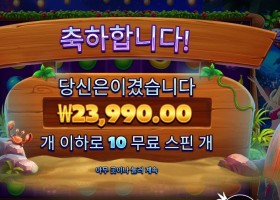 와일드 비치 파티 120배