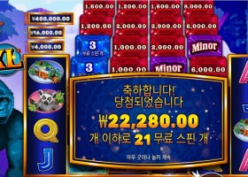 프라그마틱 콩고 캐시 XL