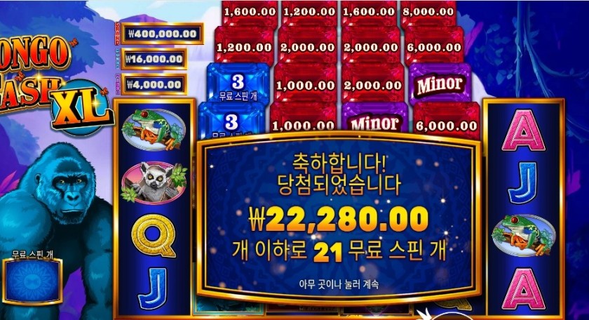 프라그마틱 콩고 캐시 XL