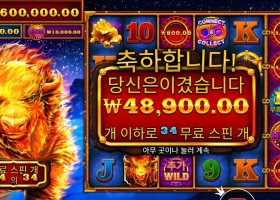 파이어 스탬피드 34스핀