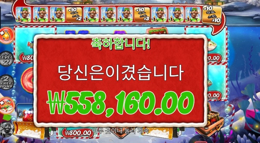 빅 배스 크리스마스 배시 55콩