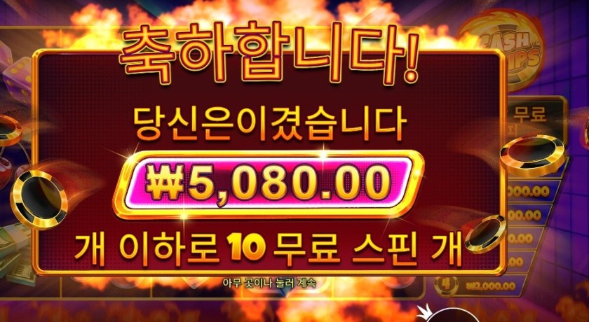 캐시 칩스 후기