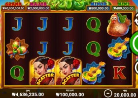 bng 그 린 칠 리 !