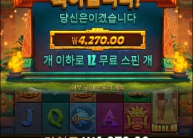 시드가 팍팍 줄어들고