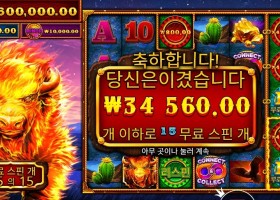 파이어 스탬피드 ２